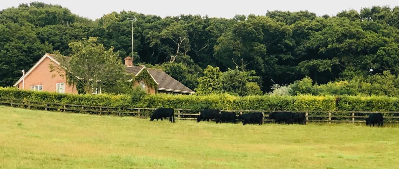 Yellowham Farm, Dorchester Higher Bockhampton Esterno foto