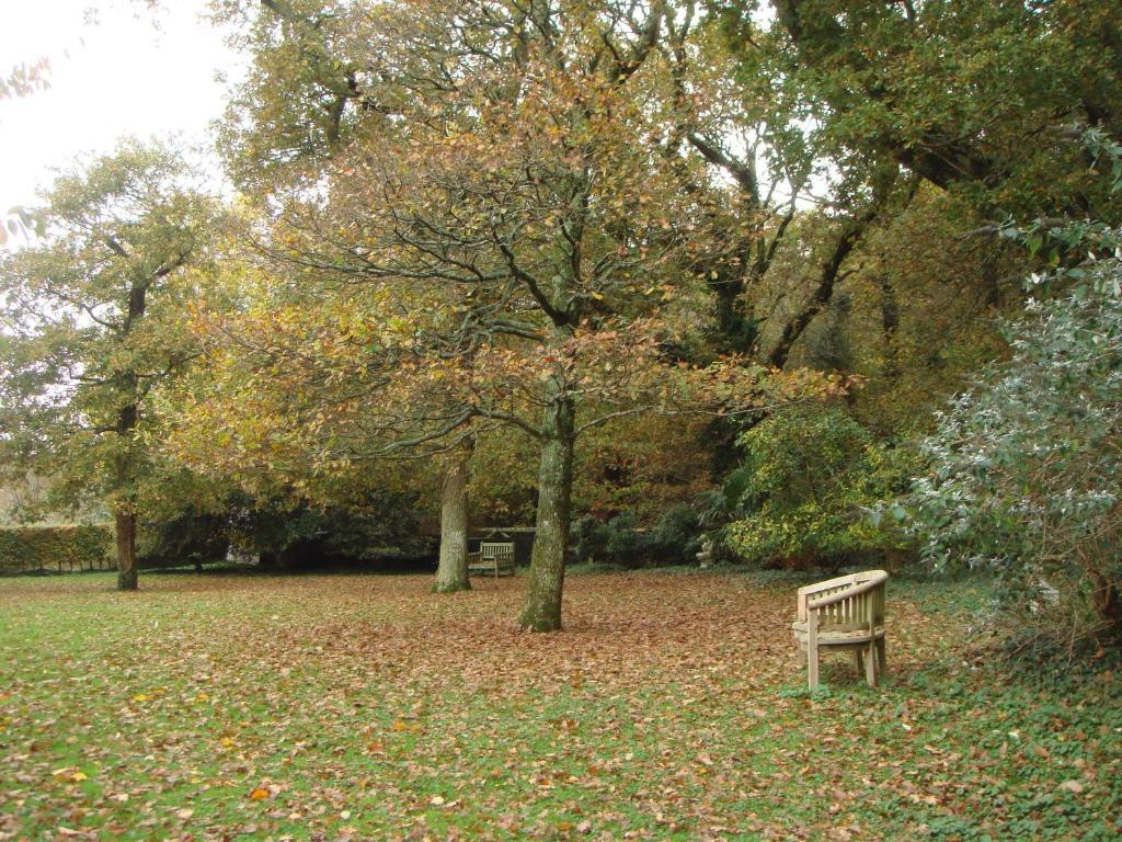 Yellowham Farm, Dorchester Higher Bockhampton Esterno foto