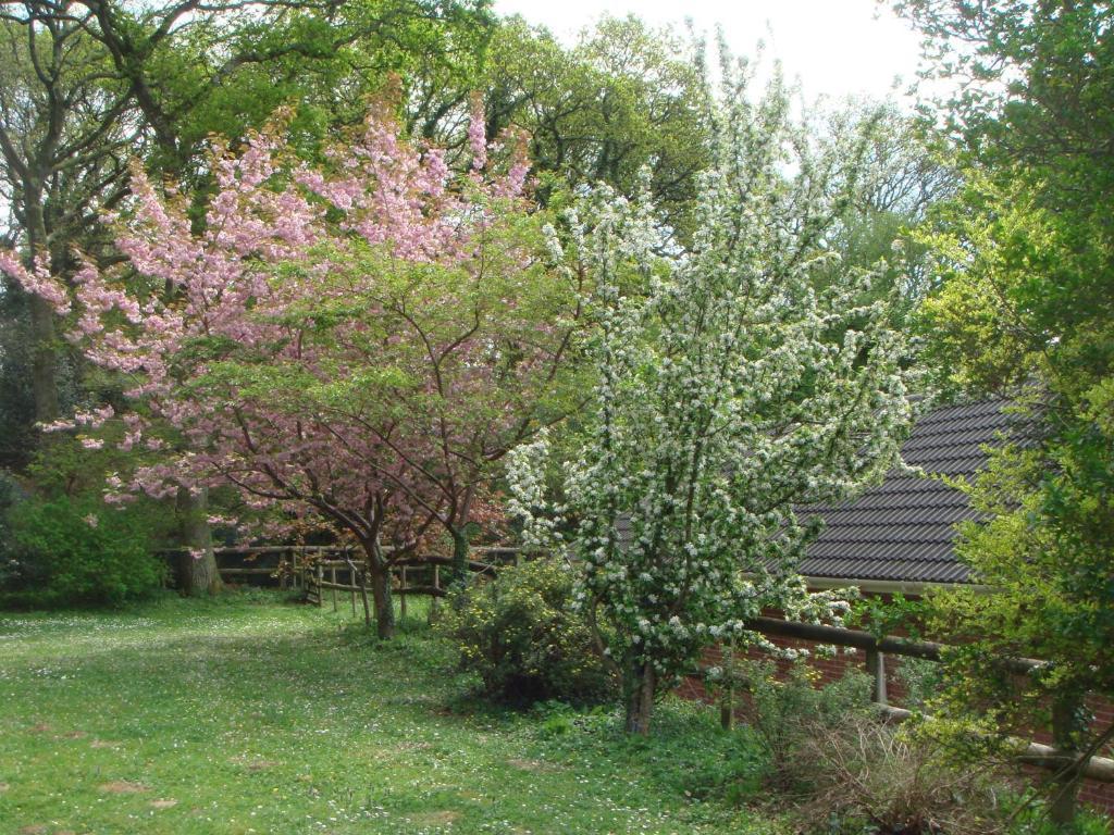 Yellowham Farm, Dorchester Higher Bockhampton Esterno foto