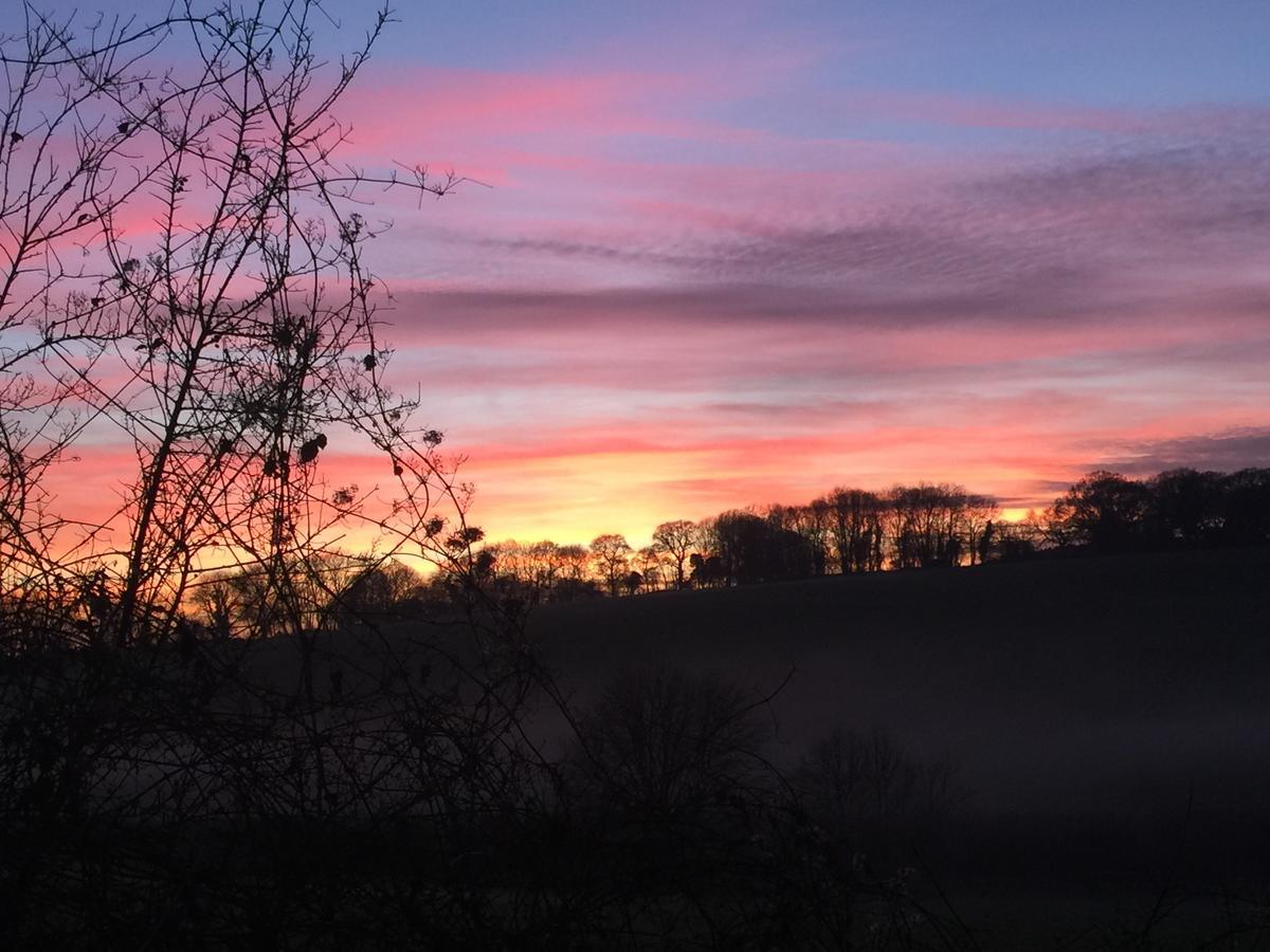 Yellowham Farm, Dorchester Higher Bockhampton Esterno foto